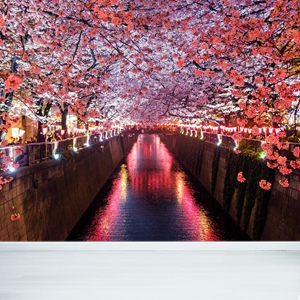 Show details for Flowers Canal