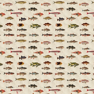 Show details for Fish