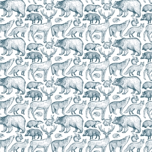 Show details for Animal Illustrations