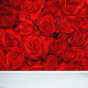 Show details for Red Roses