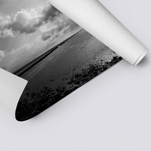 Picture of Black & White Shoreline