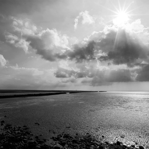 Show details for Black & White Shoreline