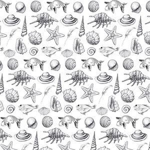 Show details for Sealife